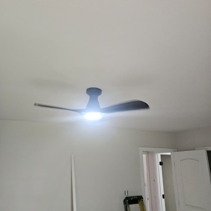 WhatsApp Image 2025-08-05 at 05.43.27_853a03f2